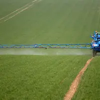 Le printemps 2019 a été sec, avec de moindres utilisations de fongicides sur céréales. © gutner archives