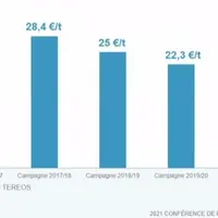 Les prix de la betterave devraient poursuivre leur hausse après le trou d'air connu ces dernières années, en lien avec la conjonction de la fin des qu