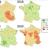Le dénombrement d'Aspergillus flavi par année de récolte (en UFC par gramme de grains) montre une présence importante en 2020 sur l'ensemble de la Fra