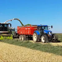 Le seigle fourrager fait partie des Cive pouvant être utilisées pour la méthanisation. © Deleplanque