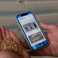 La nouvelle application numérique d'Arvalis permet d'identifier et de gérer les insectes présents dans les silos de stockage des céréales.