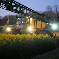L'arrêté abeilles impose de réaliser les traitements de type fongicides sur le colza le soir.