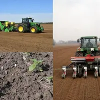 semis de printemps en cultures de pommes de terre, tournesol et maïs