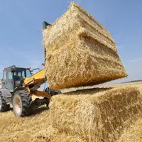 Moisson des céréales. récolte de la paille d'orge. chargement de ballots de 400 kilos avec un servant de ferme équipé d'un bras télescopique. Société