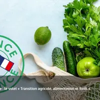 plan de relance - volet agricole