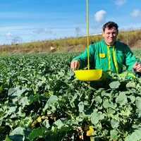 Emmanuel Thiery, agriculteur à Agencourt (21)" Certains pieds de colza présentaient jusqu’à 15 larves de grosses altises, ce qui est énorme et même ex