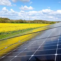 Panneaux photovoltaïques sur bâtiment agricole avec un champ de colza en arrière plan