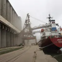 Chargement de 6000 tonnes d orge dans un bateau sur le terminal Senalia du port de Rouen, à destination de l'Amérique du Sud. Transport maritime. Comm
