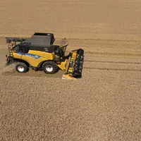 Moisson dans l'Indre près d'Issoudun le 7 juillet 2022. Récolte de blé tendre particulièrement précoce, avec du blé Cesario.