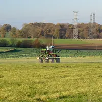 Cultures / traitement phyto/dÃ©sherbant / application de Round-Up sur des chaumes de blÃ© contre les repousses de blÃ© / herbicide glyphosate.