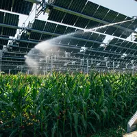 Les 3 hectares du dispositif d'agrivoltaïsme sont équipés de 114 canons arroseurs pour une irrigation se déclenchant automatiquement selon les besoins