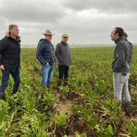 Betteraviers réunis dans un champ de betterave à Tubersent lors des inondations dans le Pas-de-Calais en novembre 2023