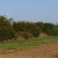 Les haies de Damien Venot sont conçues pour servir de refuges au petit gibier, buissonnantes, sur deux rangs et sans arbre de haut jet.