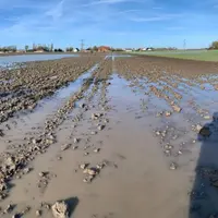 Parcelle de blé inondée dans le Pas-de-Calais suite aux fortes précipitations et à la crue de l'Aa, novembre 2023