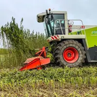 Récolte du chanvre par une entreprise de travaux agricoles avec une faucheuse Claas en Vendée. Septembre 2023