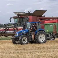Moisson des céréales par un entrepreneur, travaux agricoles