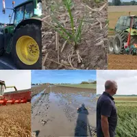 Tracteur, champ, agriculteur, inondations, semoir, moissonneuse batteuse