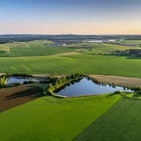 Paysage agricole, parcelle de cultures