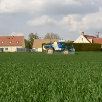Parcelle de blé avec un pulvérisateur à proximité d'habitations
