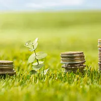 Investissement dans du foncier agricole