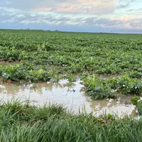 Champ inondé Eure et Loir, hiver 2024