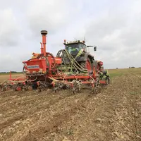 Semis direct de maïs précoce après un premier semis qui n a pas levé en raison de mauvaises conditions climatiques et des dégâts d'animaux nuisibles,