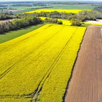 Vue aérienne de parcelles dans le sud de la Seine-et-Marne en avril 2022.