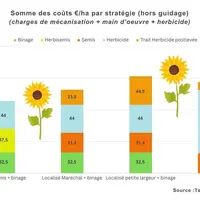 Combiner désherbage chimique et mécanique sur tournesol