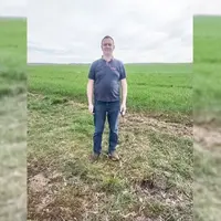 Sébastien Mahaut, agriculteur à Pauvres dans les Ardennes devant une parcelle de blé