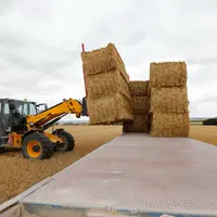 Chantier de paille pendant les moissons dans le departement de la Marne. Chargement et dechargement de ballots de paille de ble. Engin Massey Ferguson
