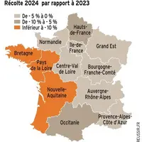 Graphique : Évolutions des surfaces de céréales à paille pour la récolte 2024 par rapport à 2023
