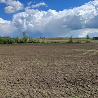 Parcelle laissé en sol nu
