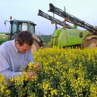 Cultures / olÃ©agineux / colza / traitement insecticide contre le charanÃ§on / tracteur et pulvÃ©risateur en cours de traitement en fin de soirÃ©e afi