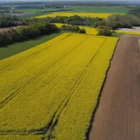 Vue aérienne de parcelles dans le sud de la Seine-et-Marne.