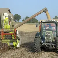 Chantier de récolte de féverole