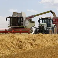 Moisson des orges dans les plaines cerealieres de la Marne avec une moissoneuse Claas 740 Lexion.