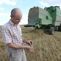 Récolte des céréales. Moisson. Contrôle de la qualité de l'orge d'hiver. Xavier Besnoit, agriculteur adhérent de la coopérative Cohésis. Observation d