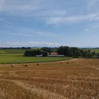 Paysage avec diverses grandes cultures.