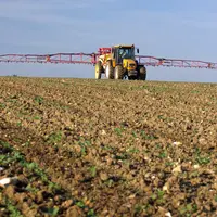 Cultures / traitement insecticide contre les altises sur champ de colza