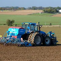 Semis de blé.