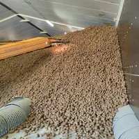 Stockage de pomme de terre en vrac avec des gaines de ventilation visibles au sol