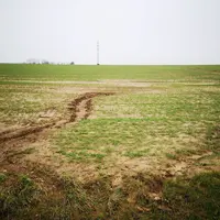 Parcelle de blé tendre touchée par l'érosion et coulées de boues dans la Somme début février 2024