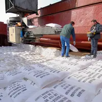 commerce des matières premières agricoles / échanges commerciaux de la France avec l'Afrique / exportations / port de Rou