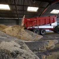 Moisson du Colza dans les plaines cerealieres de la Marne. Agriculteur moissonnant sa parcelle de Colza avec une moissonneuse