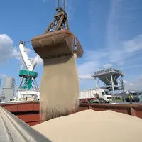 Chargement d'un bateau d'engrais azoté.