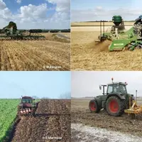 Implantations et destructions de couverts d'interculture.