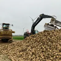 Enlèvement d'un silp de betterave par l'industriel Saint Louis Sucre, département de la Somme, novembre 2024