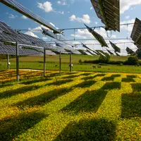 culture panneaux solaires agrivoltaïsme champs