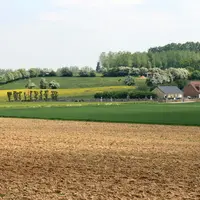 Paysage rural de l'Artois. Parcelles cultivées, haies d'arbres. Maisons au bord des champs. habitat rural. habitatio