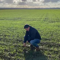 Thibault Degay, 210 hectares de cultures à La Loye (Jura)"Sur une variété tolérante aux maladies comme LG Absalon, on peu